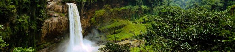 Image of a waterfall from a birds eye view surrounded by greenery.