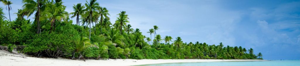 Image looking from the beach to the shore that is surrounded by tall trees.