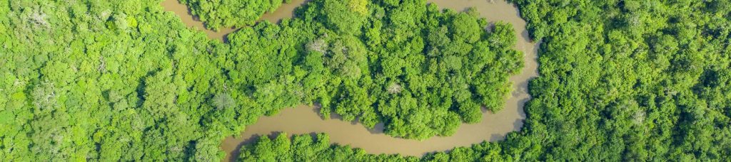 A drone image of a trial going through greenery.