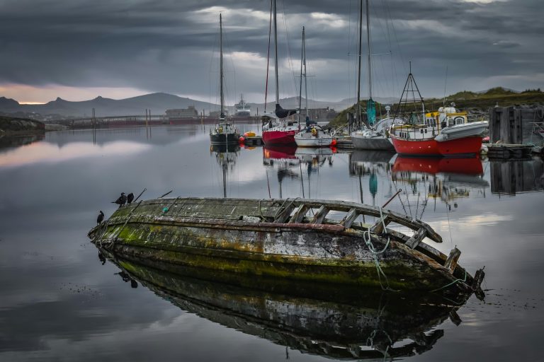 A body of water, with a line up of parked boats.