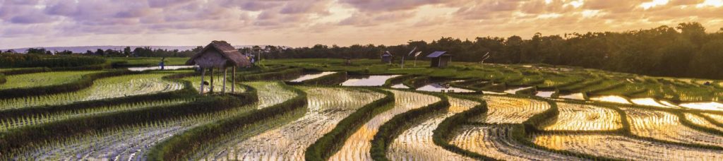 Top view of open fields in Bali Indonesia.