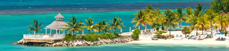 View of the ocean with some palm trees in Jamaica.